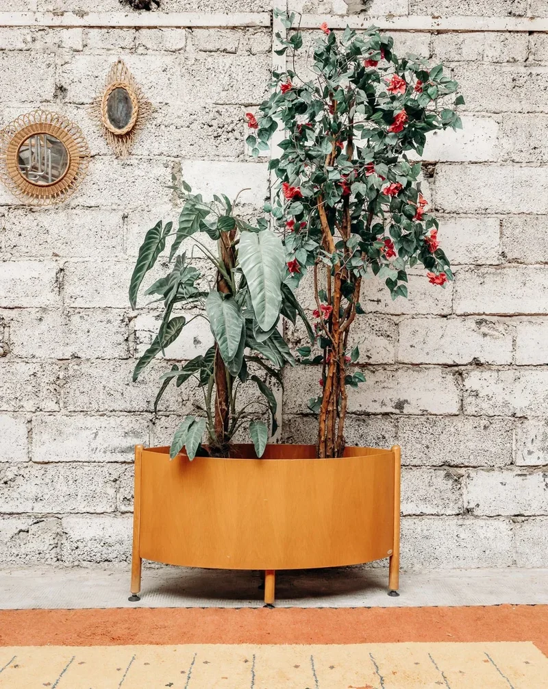 Ariel, le porte-plantes Baumann N°468