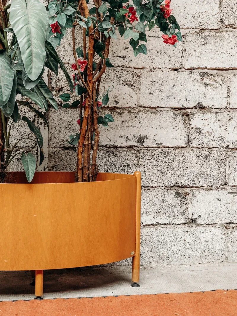 Ariel, le porte-plantes Baumann N°468