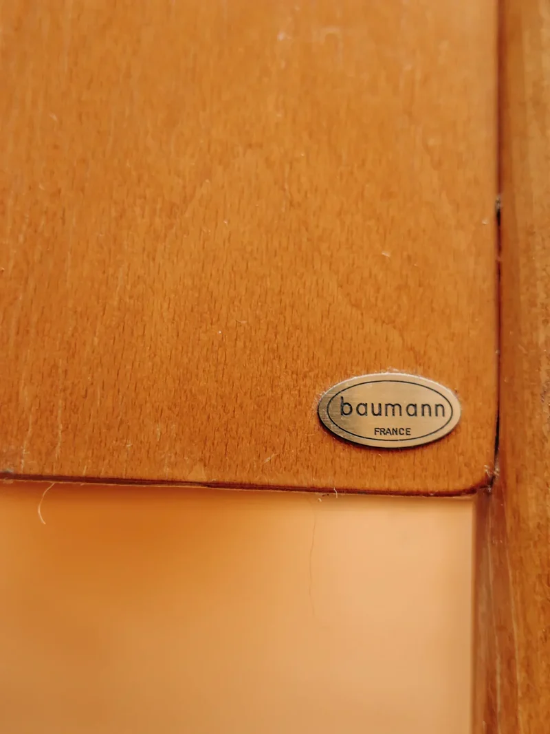 Ariel, le porte-plantes Baumann N°468