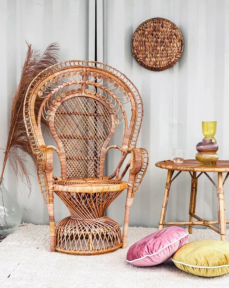 Emmanuel, le fauteuil en rotin N°9