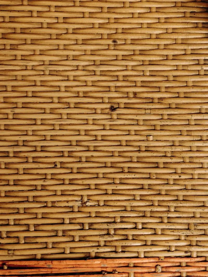 Claude, la chaise en rotin colorée N°864
