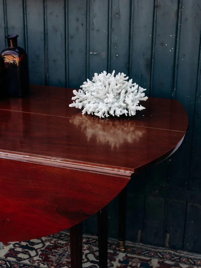 Alix, le grand corail blanc N°120
