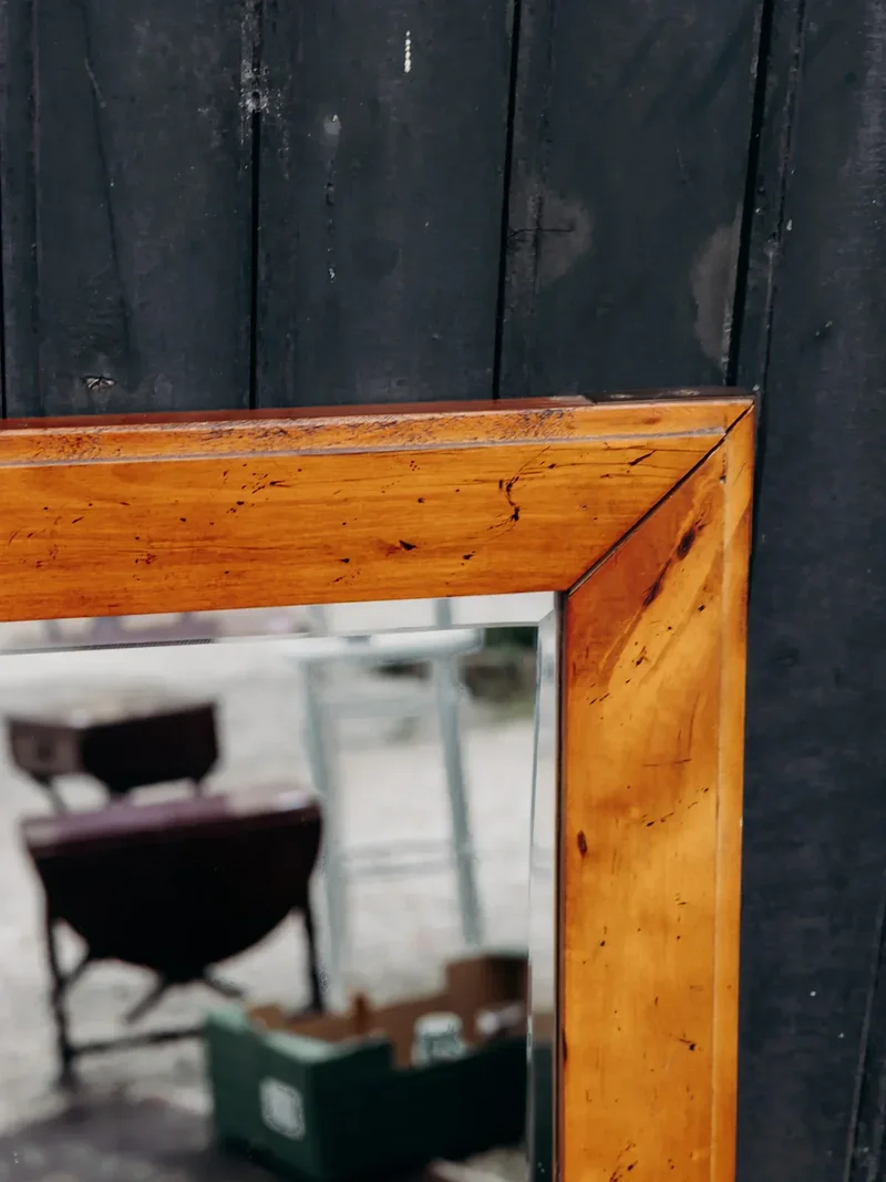 Igor, le miroir en bois N°549