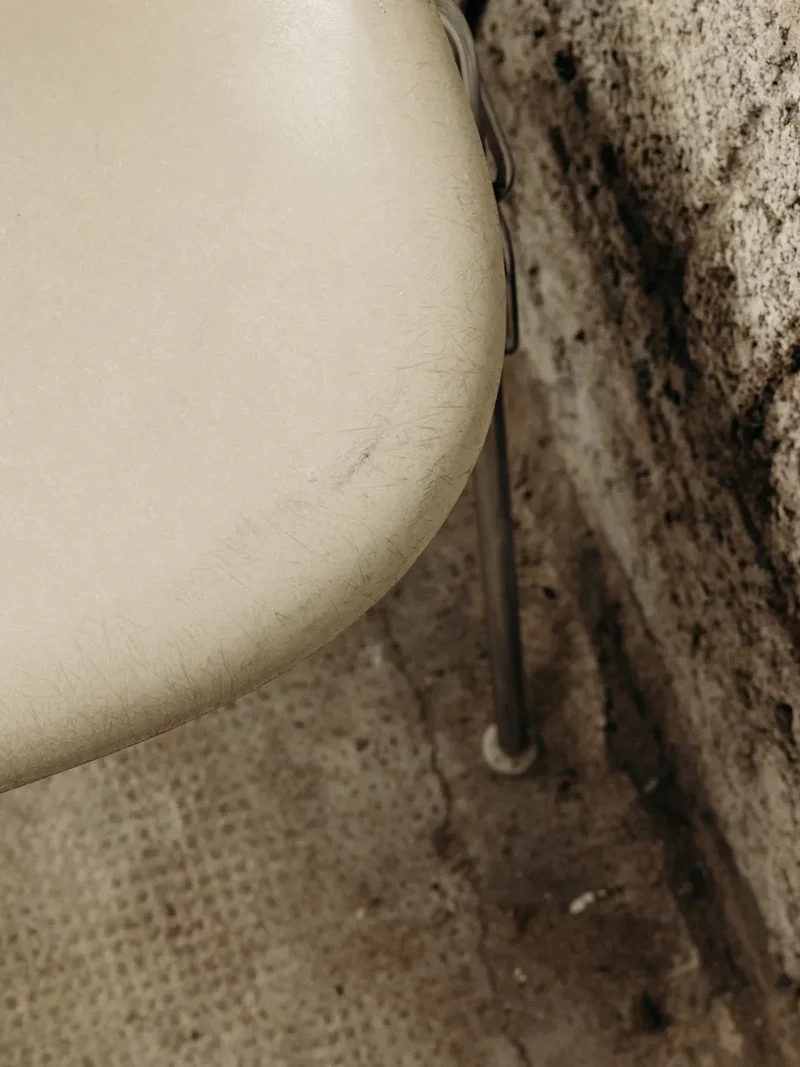 Alma, la chaise Eames en métal N°587