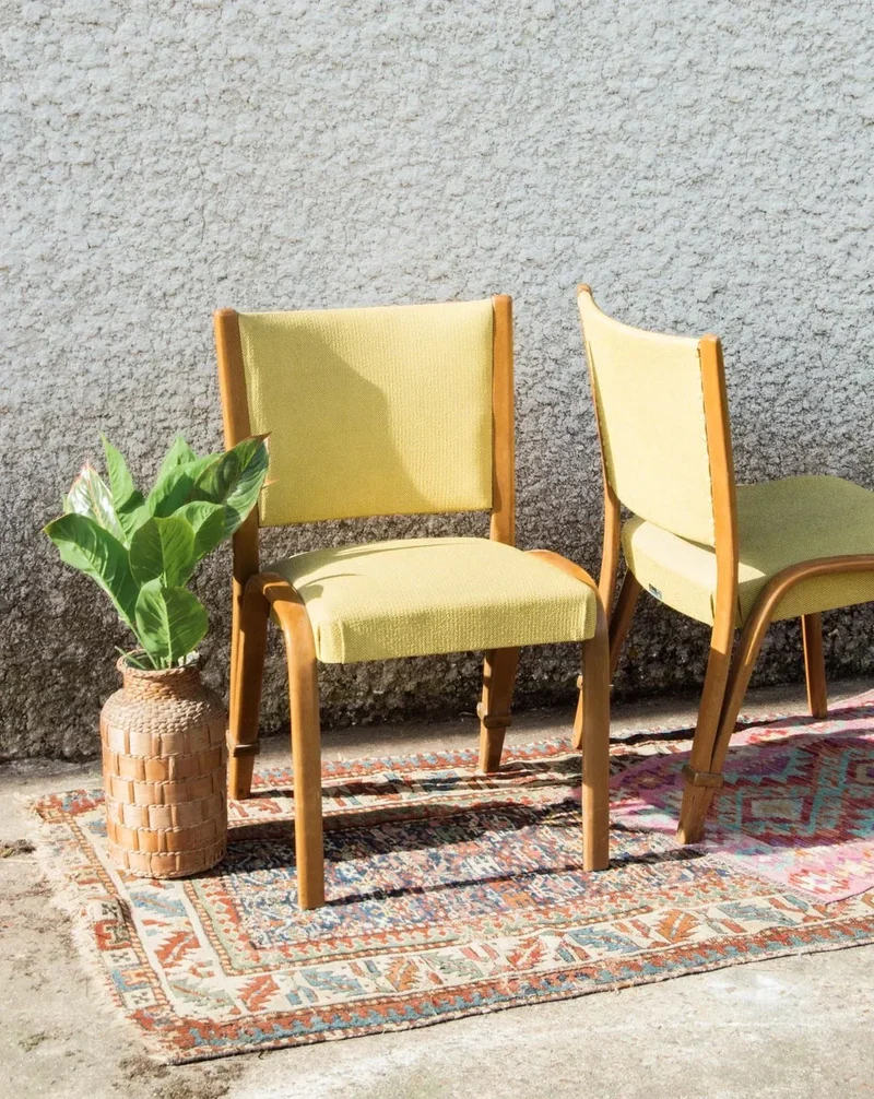 Alma, la paire de chaises Steiner N°293