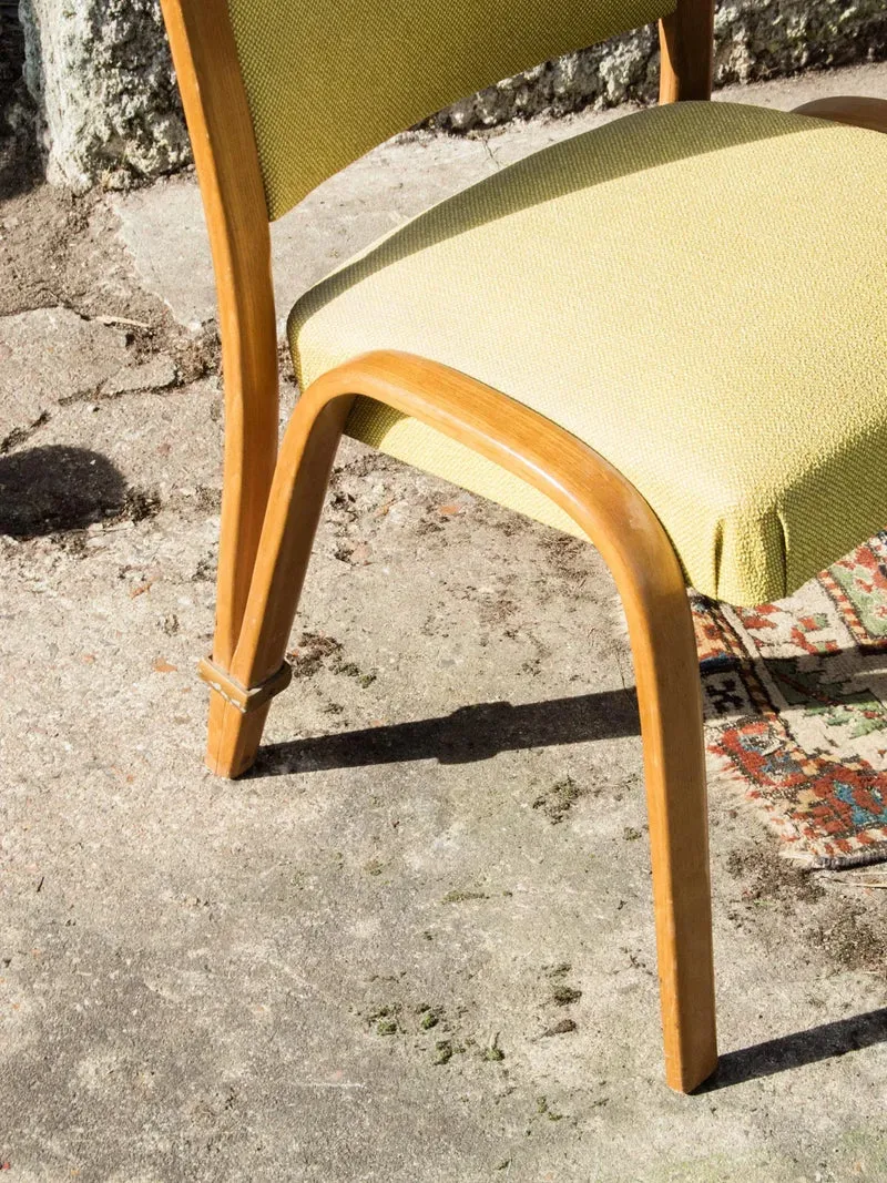 Alma, la paire de chaises Steiner N°293