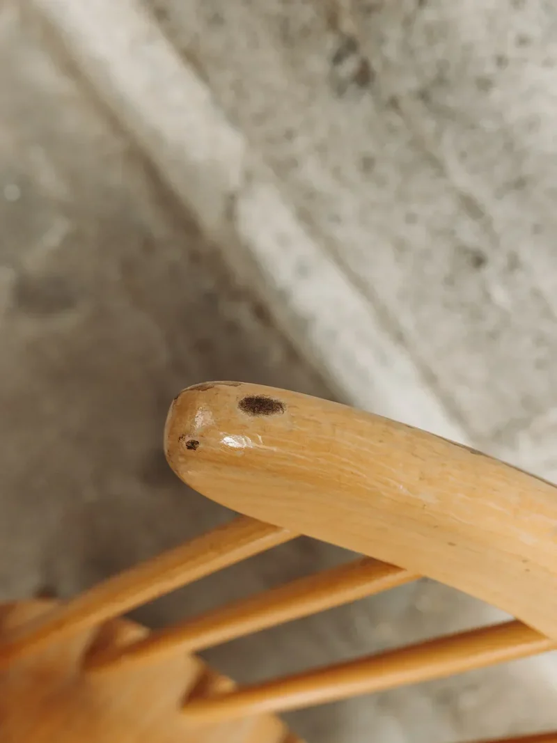Alma, la chaise Fanett en bois N°263