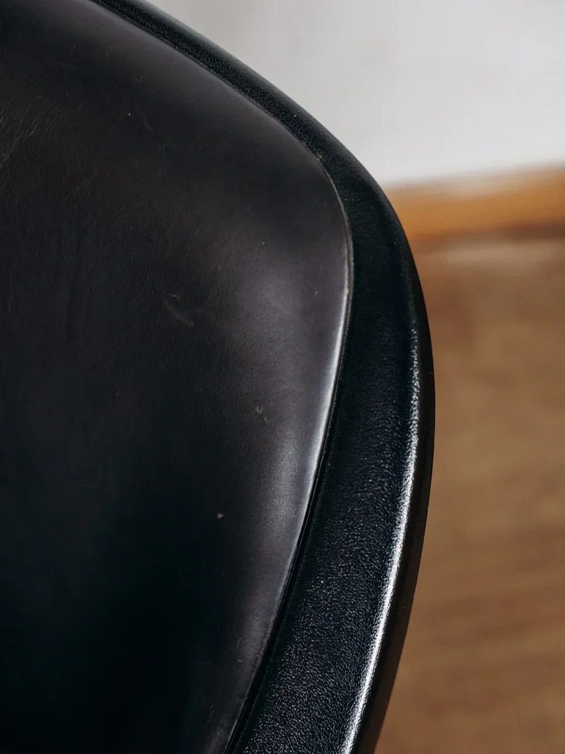 Jakob, le fauteuil en cuir Hesterberg N°219