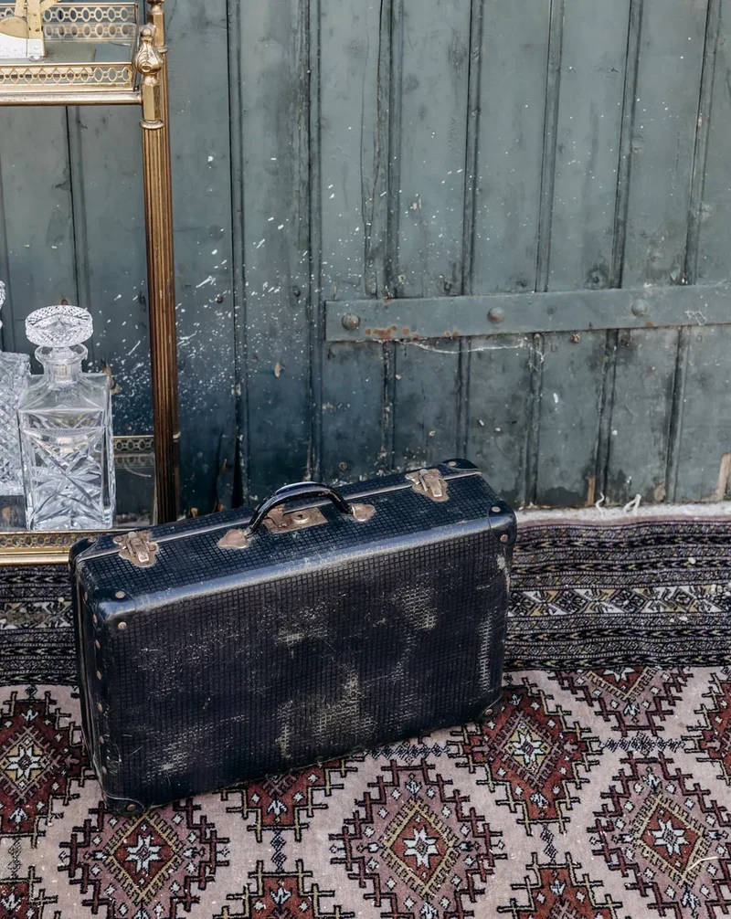 Lucienne, la valise vintage N°90