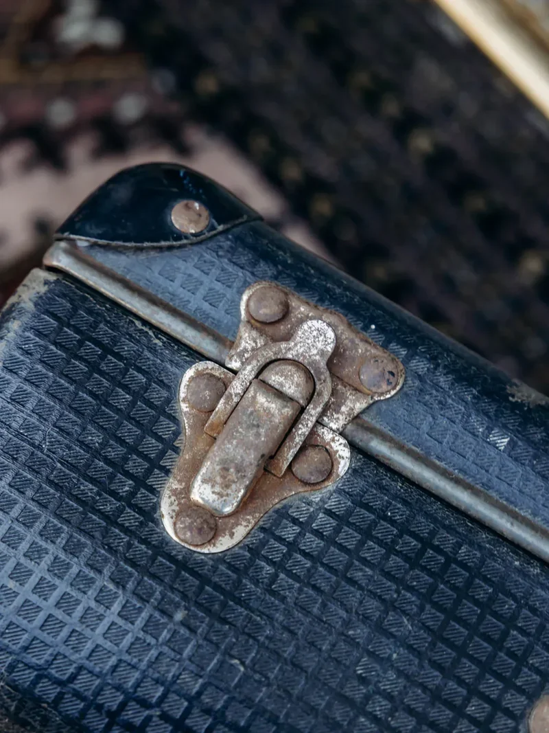 Lucienne, la valise vintage N°90