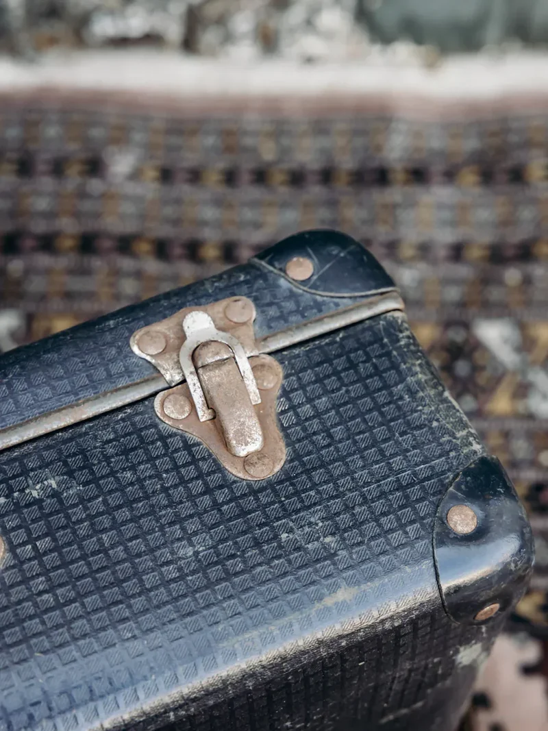 Lucienne, la valise vintage N°90