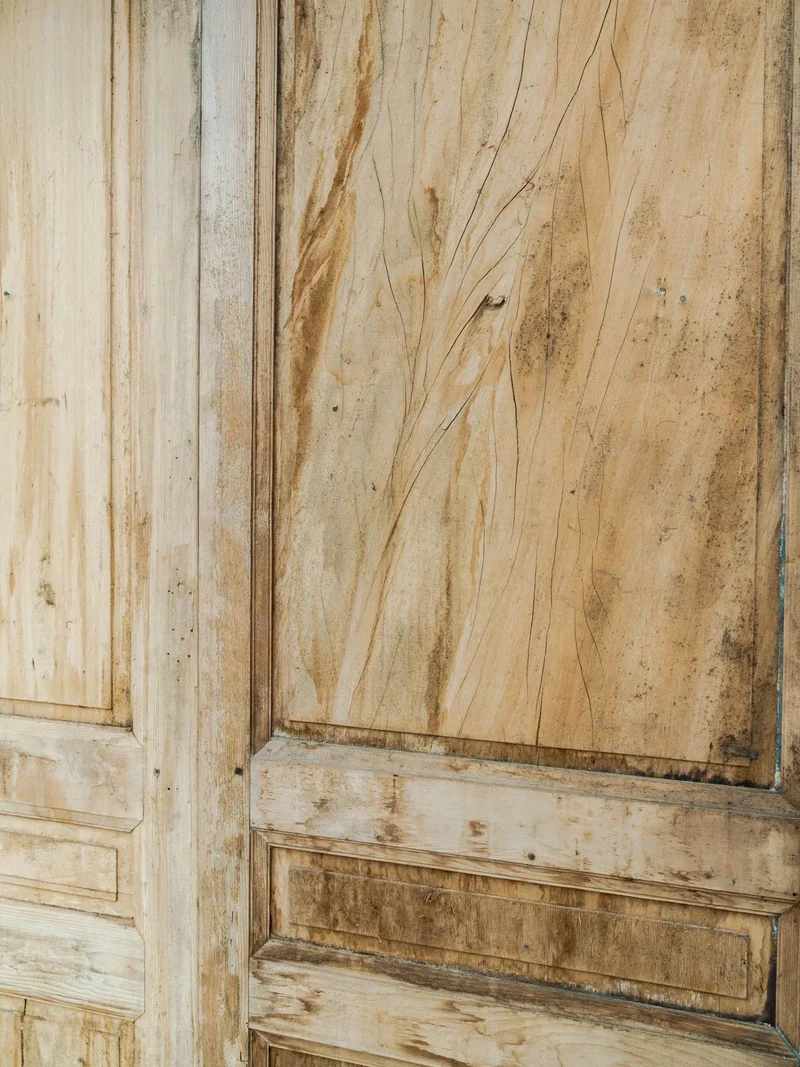 Félix, la grande porte en bois N°6