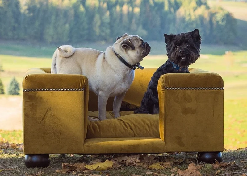 Casa Padrino Luxus Hundebett Ocker / Dunkelbraun / Ocker 95 x 75 x H. 37 cm - Modernes Rechteckiges Hundebett mit Kissen - Luxus Hundemöbel - Luxus Tiermöbel