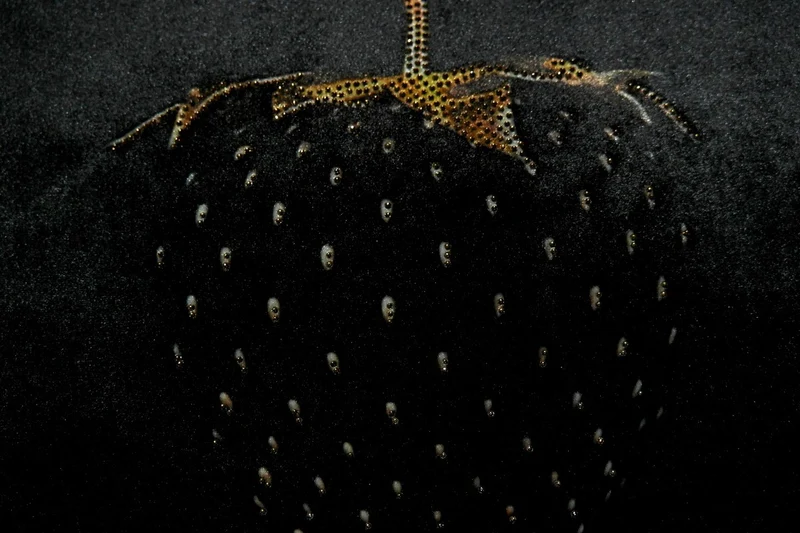 Casa Padrino Luxus Deko Kissen Strawberry mit Bling Bling Glitzersteinen Schwarz / Gold 45 x 45 cm - Feinster Samtstoff - Luxus Deko Accessoires
