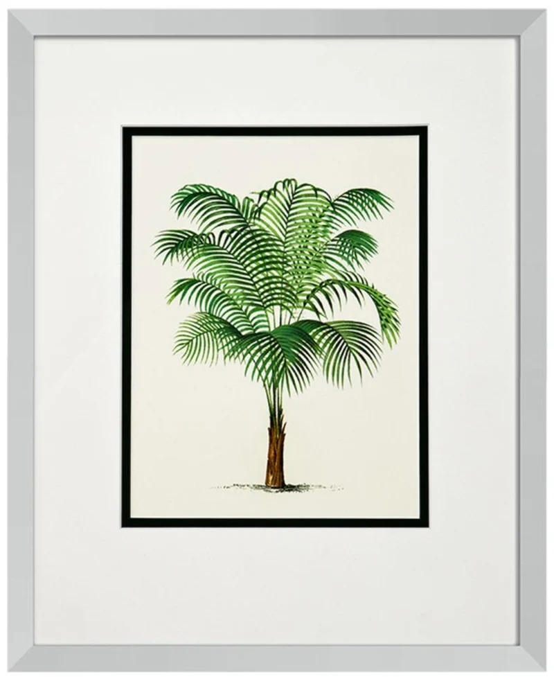 Casa Padrino Bilder / Kunstdruck 4er Set Palmen Mehrfarbig 43 x H. 53 cm - Luxus Deko