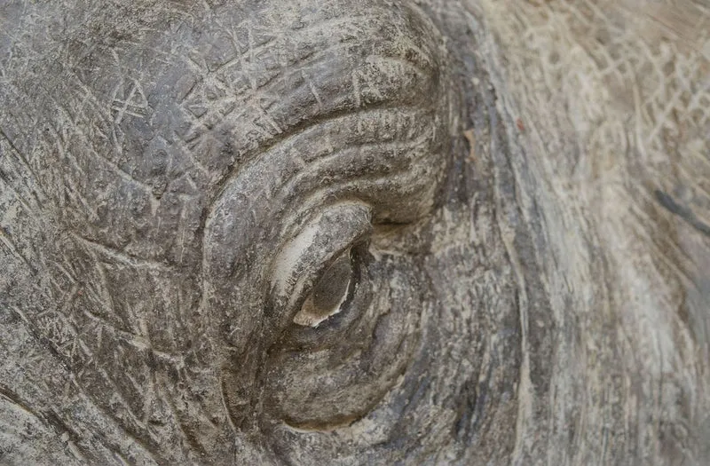 Casa Padrino Deko Wandfigur Elefant Grau 215 x 67 x H. 170 cm - Luxus Wanddekoration