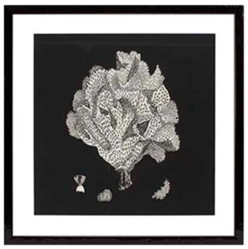 Casa Padrino Bilder / Kunstdruck 4er Set Korallen Schwarz 64 x H. 64 cm - Luxus Deko
