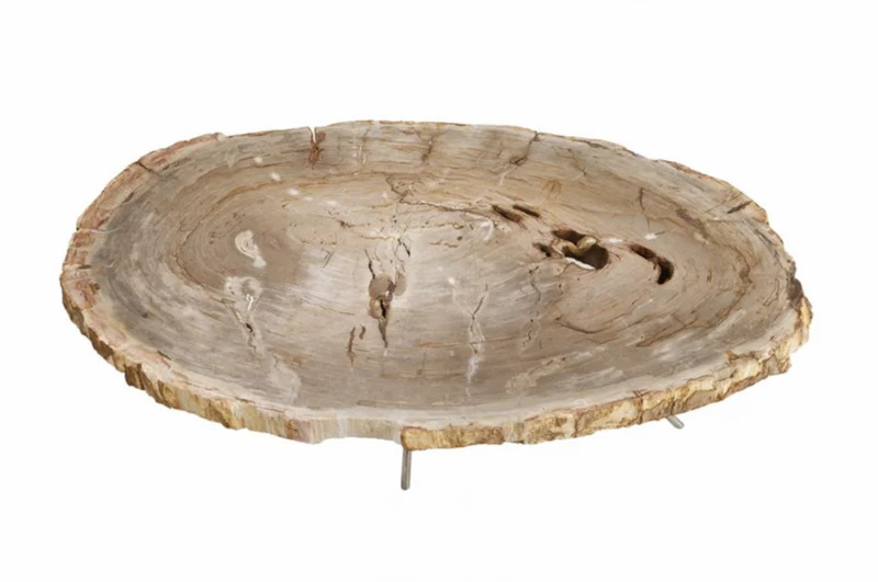 Casa Padrino Luxus Art Deco Designer Couchtisch aus versteinertem Holz - Wohnzimmer Tisch polierter Edelstahl - 110-120 x 65-85 x H. 35 cm