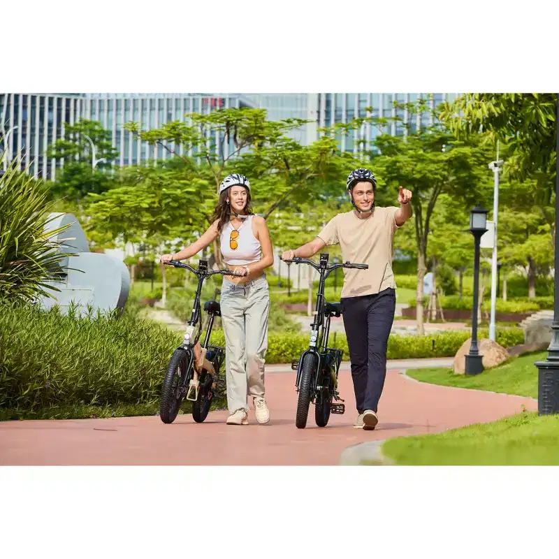Vélo électrique pliant GoPowerBike GoVolt | Boîte ouverte